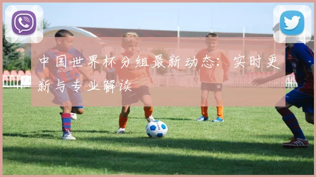 中国世界杯分组最新动态：实时更新与专业解读