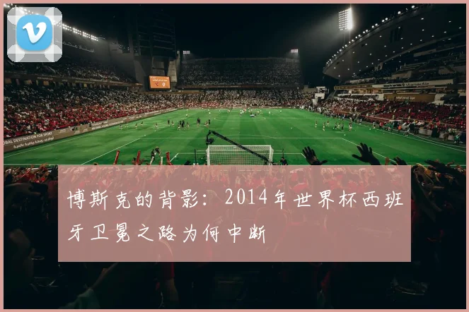 博斯克的背影：2014年世界杯西班牙卫冕之路为何中断